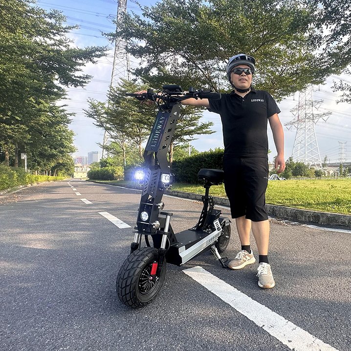 Foldable E Scooter 2 wheel Fat Tire