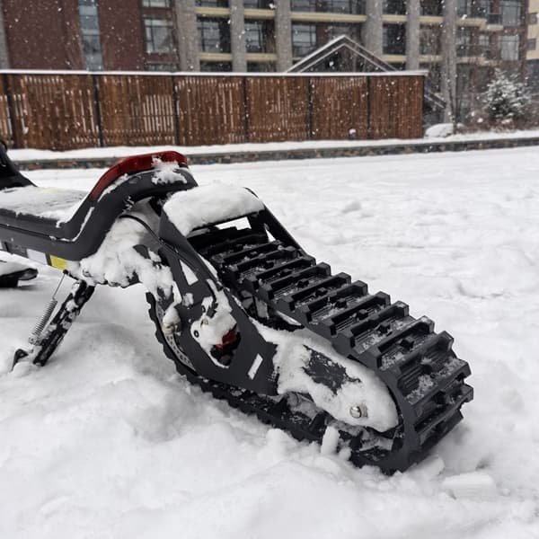 1000w electric scooter free shipping