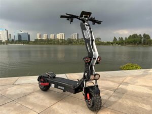 11inch electric scooter liideway T9