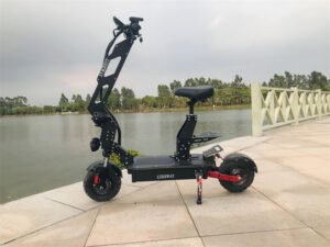 11inch electric scooter liideway T9