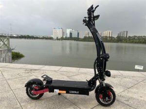 Europe Electric Scooters Market liideway T10