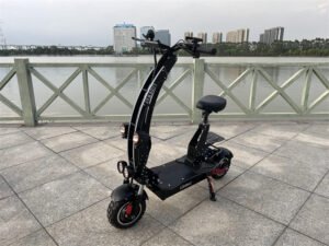 Europe Electric Scooters Market liideway T10