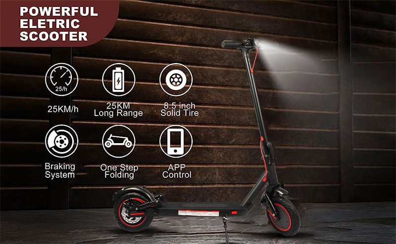 electric scooter city vision 10inch liideway L8-10