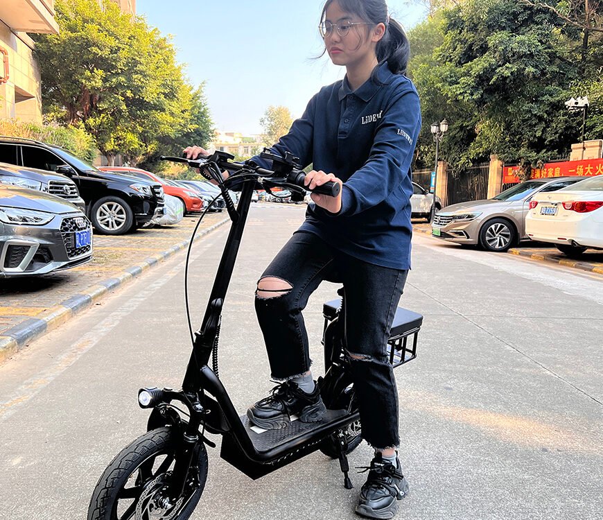 Two wheel Electric Scooter with Seat for Adult 14 Inch Cheap K11