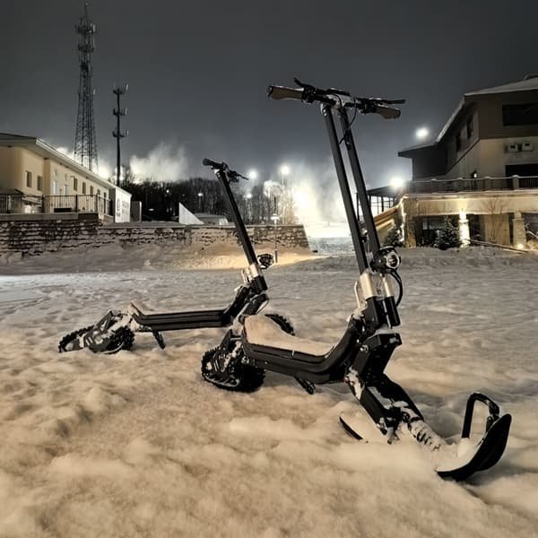 3 wheels electric scooter germany