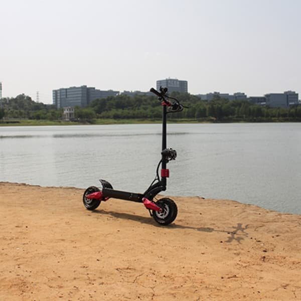 daul motor electric scooter