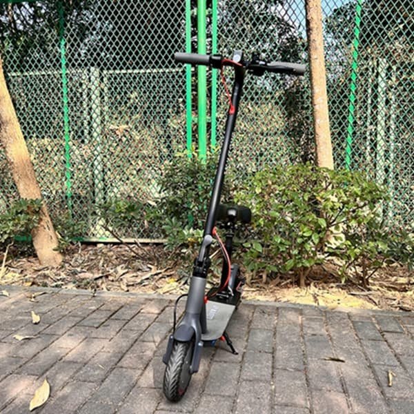 dragon electric scooter