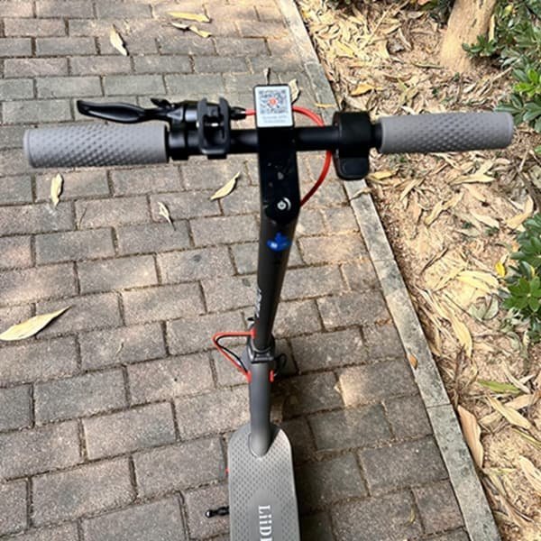 electric scooter 800w citycoco scooter