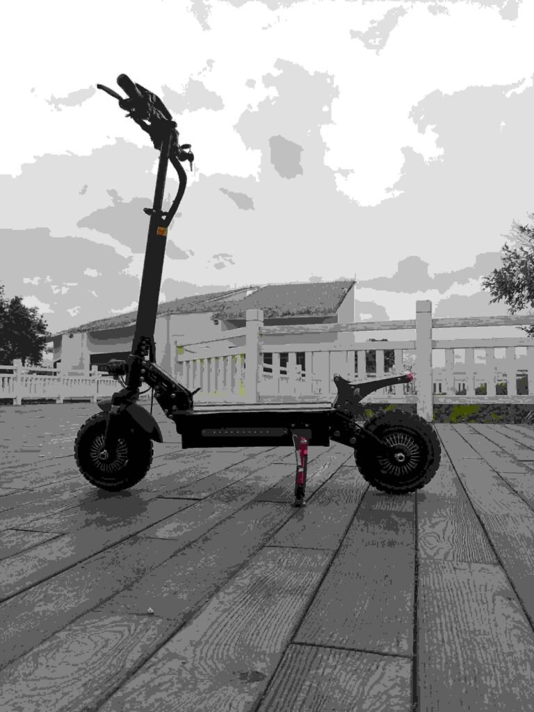 electric scooter dual drive liideway factory