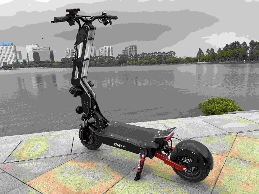electric scooter eu stock citycoco liideway factory