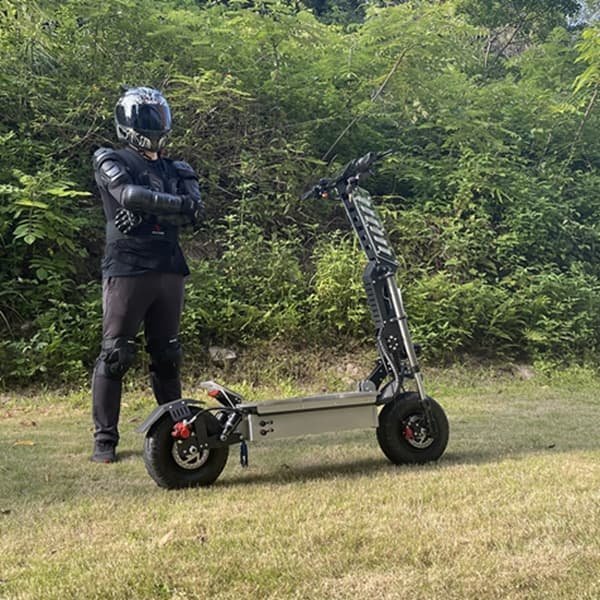 electric scooters with brushless motors