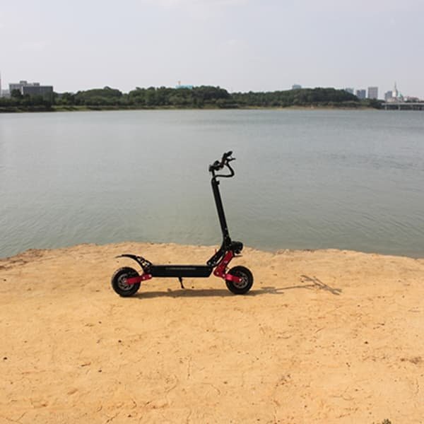 fast scooter electric with case