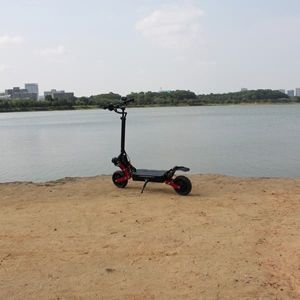 honey whale electric scooter